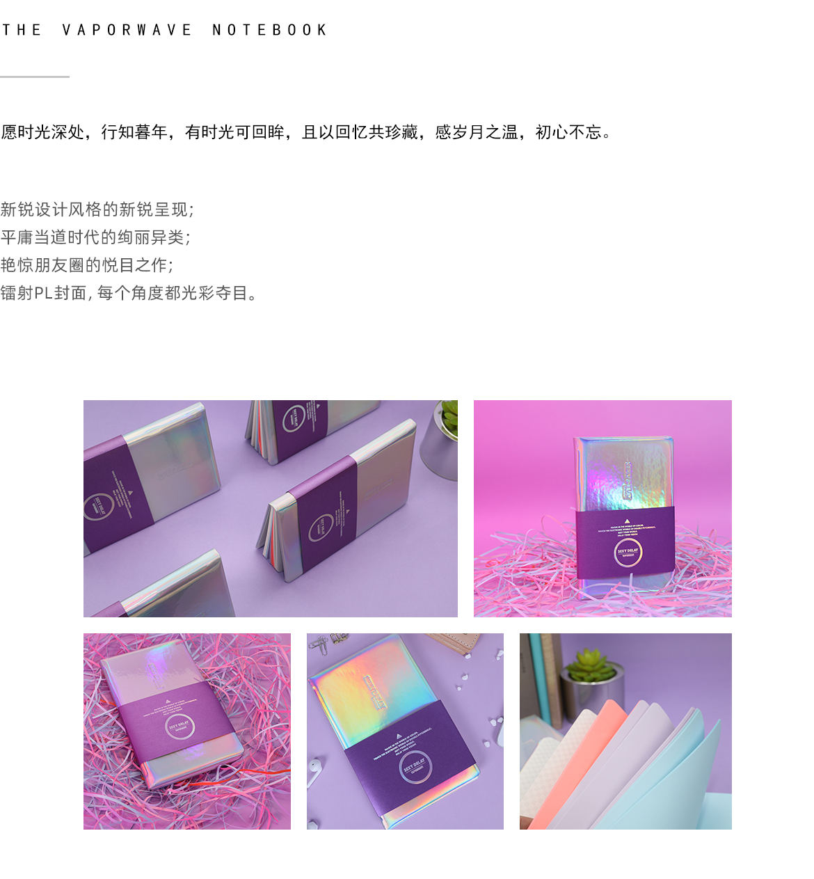网站-三级页面蒸汽波本.jpg