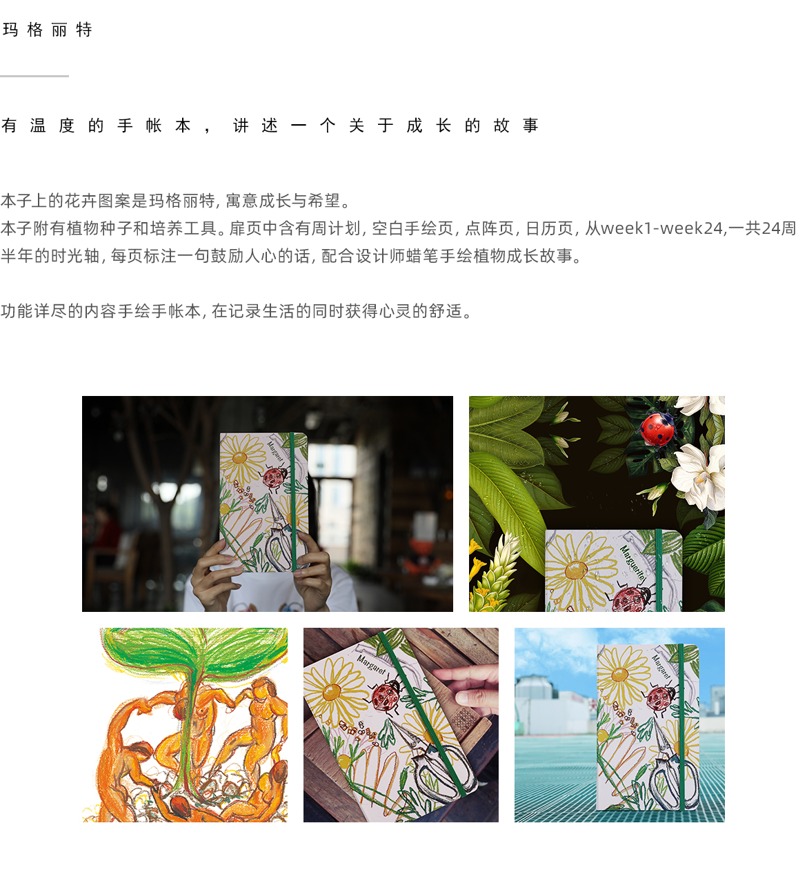 网站-三级页面玛格丽特本.jpg